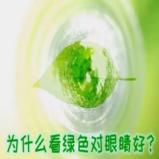 到底什么颜色对眼睛好？